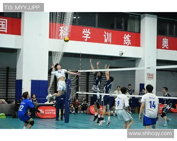 南京排球队在欧锦赛中的蜕变与新篇章探索之旅