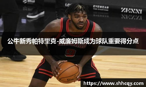 熊猫体育官网