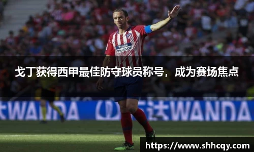 戈丁获得西甲最佳防守球员称号，成为赛场焦点