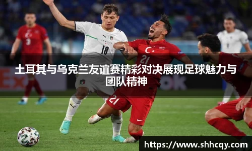 熊猫体育官网