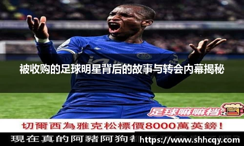 熊猫体育官方app